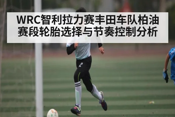 WRC智利拉力赛丰田车队柏油赛段轮胎选择与节奏控制分析